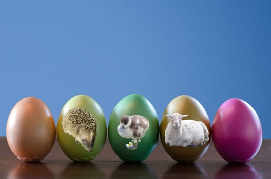 Easter eggs with Easter animals