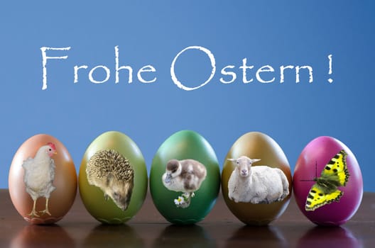 Happy Easter !