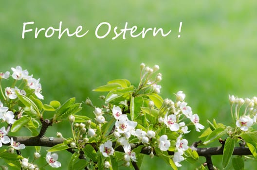 Happy Easter !