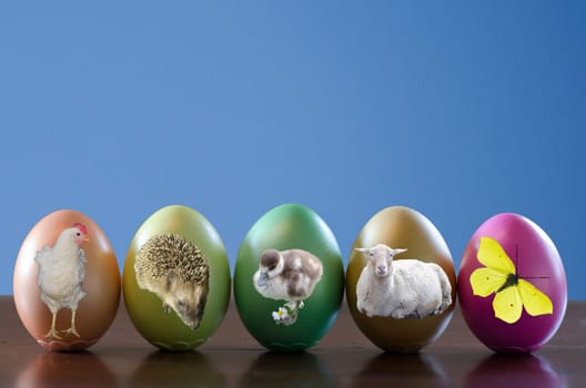 colorful Easter eggs with Easter animals