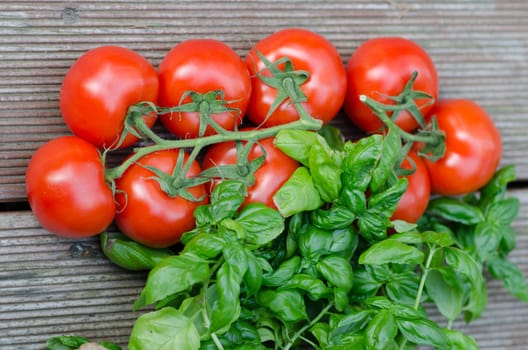 Tomatoes and basil