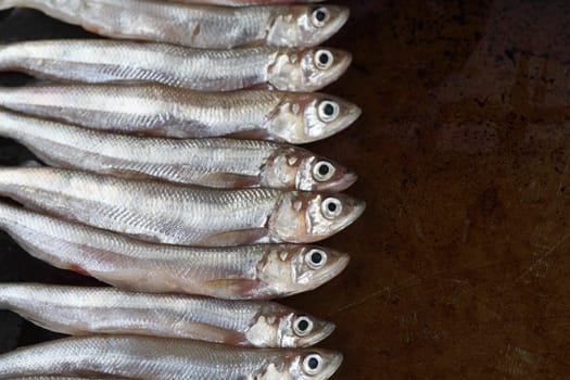 fresh smelt on a dark background with copy space