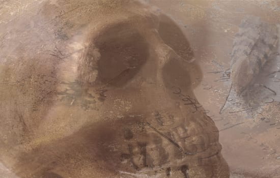 grunge skull with large moth on script