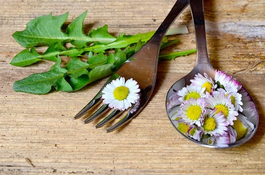 Daisy on a fork on a wooden background