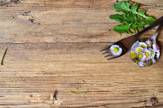 Daisy on a fork on a wooden background