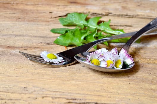 Daisy on a fork on a wooden background