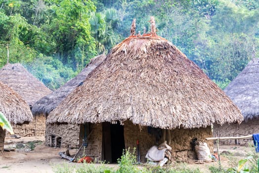 Houses in an indigenous village inhabited by the Wiwa Indian tribe in the Sierra Nevada de Santa Marta in Colombia
