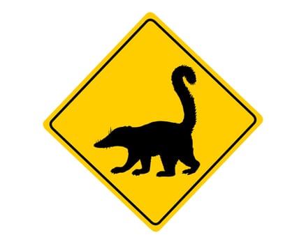 Attention Nasal Bear