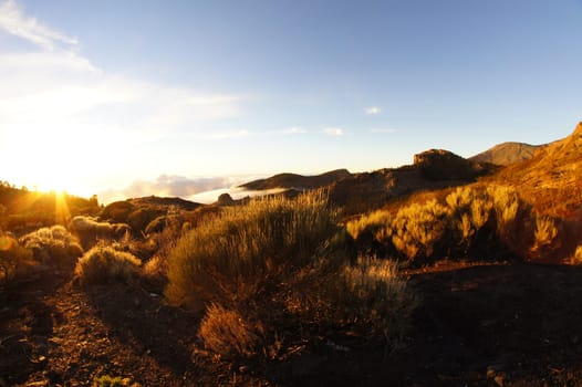 Desert Landscape in Volcan Teide National Park, Tenerife, Canary Island, Spain