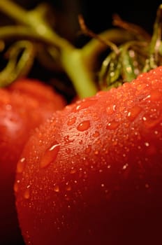 Wet tomatoes