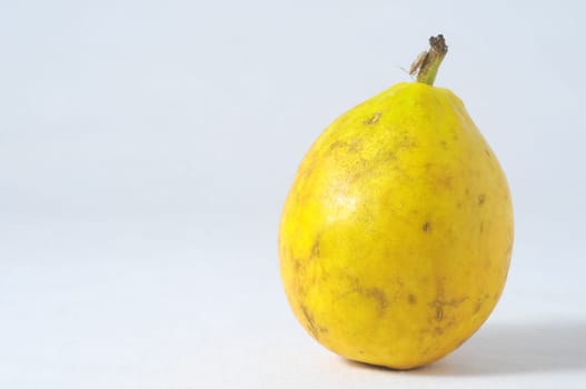 Very Ripe Healthy guayaba on a White Background