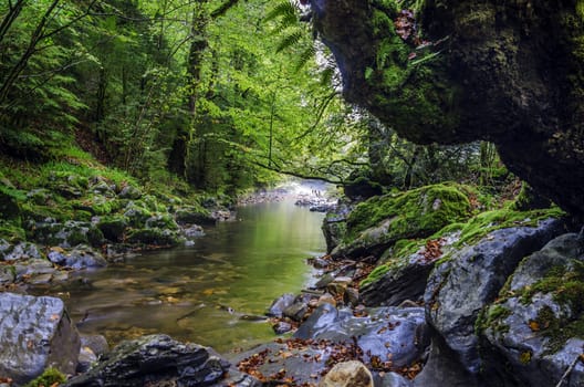 Small spring inside the Navarra's forest in Spain. Shadows of the forest are making this picture interesting and intriguing, also adding little dramatic look. The image is clean and detailed for precise work!