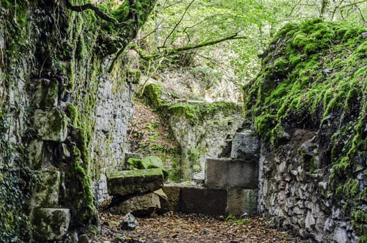 Picture at the ruins inside the forest, from one long time ago forgotten factory. One image with great colors and details witch can be used in many ways. The photography is takken high in the Navarra's mountain in Spain.