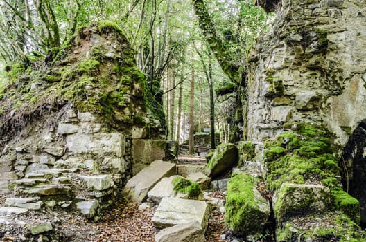 Picture at the ruins inside the forest, from one long time ago forgotten factory. One image with great colors and details witch can be used in many ways. The photography is takken high in the Navarra's mountain in Spain.