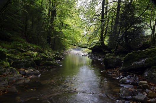 Small spring inside the Navarra's forest in Spain. Shadows of the forest are making this picture interesting and intriguing, also adding little dramatic look. The image is clean and detailed for precise work!