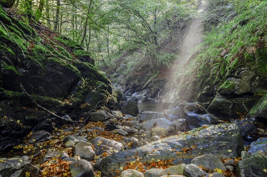 Beautiful sun rays over the river. Very colorful and detauled picture perfect for precise work. The photography is made in Spain, deep in the Navarra's forest.
