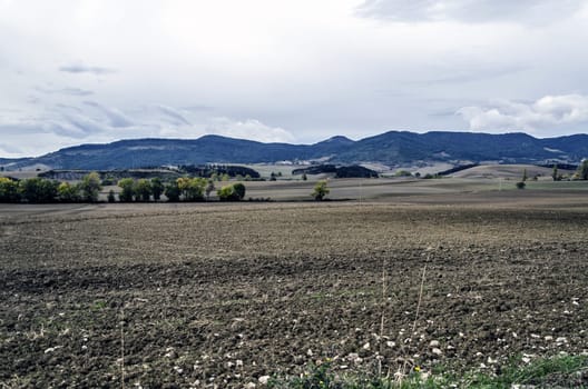View over the Navarra's fields in Spain.