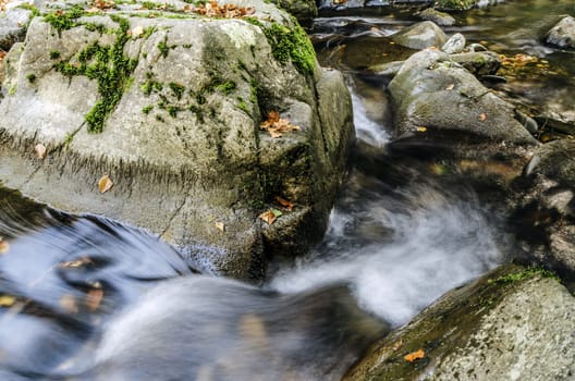 Beautiful picture at the river, with great details and high resolution. Te picture is takken in Navarra's forest, Spain.