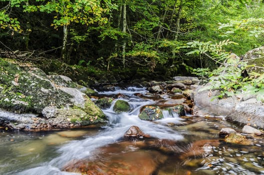Beautiful picture at the river, with great details and high resolution. Te picture is takken in Navarra's forest, Spain.