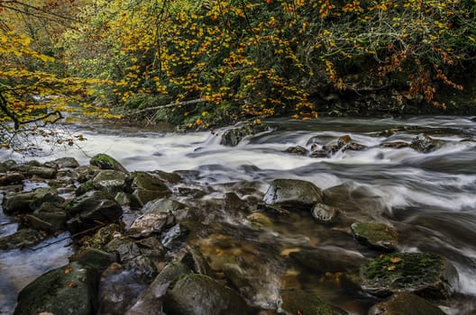 River in the Navarra's forest. One shot on this beautiful place with high quality and great details.