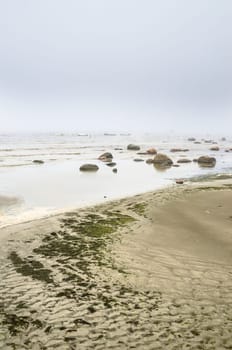 Coast of Baltic sea in a fog