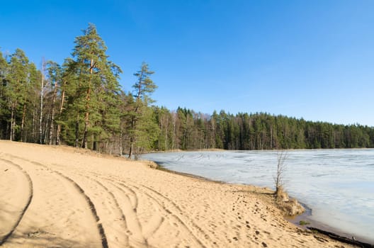 Spring landscape at wood lake