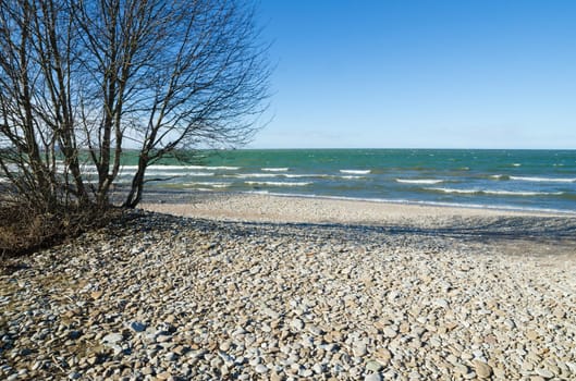 Coast of Baltic sea covered by a pebble