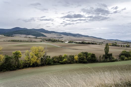 View over the Navarra's fields in Spain.
