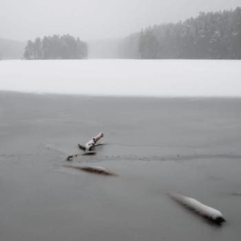 Cloudy snow landscape at wood lake