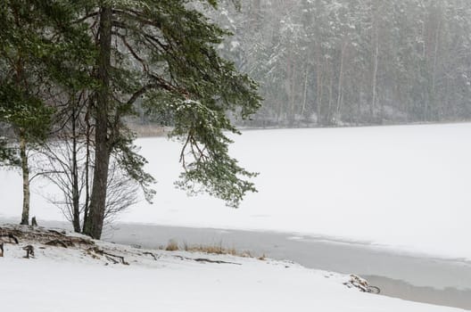 Cloudy snow landscape at wood lake