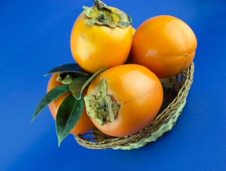 persimmon fruit isolated on blue background.