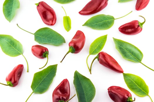 red hot chili pepper with leaves on a white background