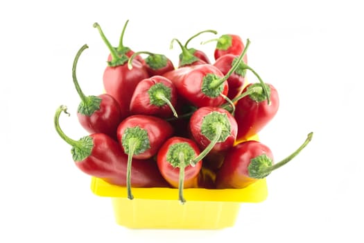 red hot chili pepper on a white background