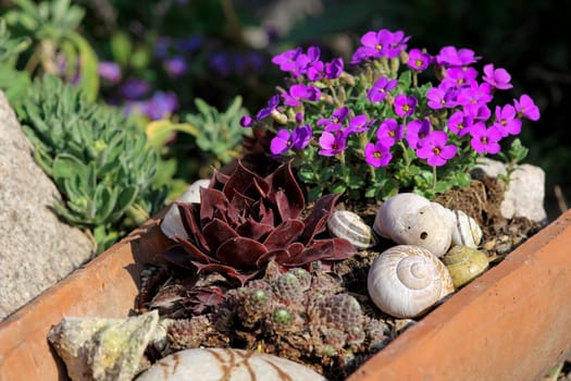 Stone garden with planted brick