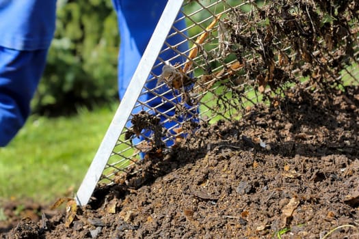 Seven of the compost heap