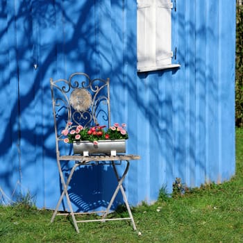 Garden chair with daisy