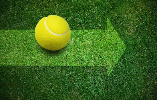tennis ball  on the grass with direction arrow