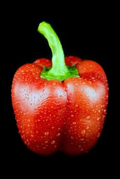 Red sweet pepper on a black background