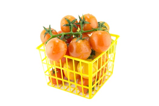 fresh cherry tomatoes with water drops. (clipping work path included)