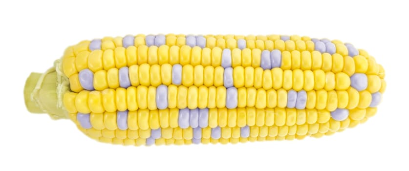 ear of corn isolated on a white background (with clipping work path)