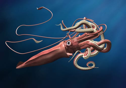Giant squid lurking in the depths of a deep, dark ocean