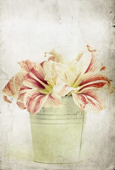 Vintage photo of lilly flowers in a bucket