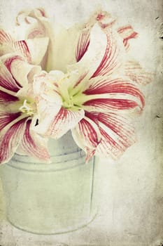 Vintage photo of lilly flowers in a bucket