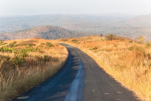 Wilderness terrain road in the rugged wildlife mountain valley landscape vegetation in morning colors through the long grass
