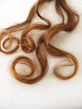 Genuine maroon curls