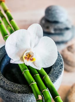 Beautiful fragile white orchid and fresh green bamboo stems lying across a stone container with stacked spa stones visible behind depicting alternative treatment and therapy at a health resort or spa