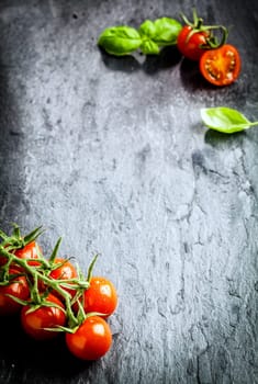 Tomatoes from above. Fresh delicious red tomatoes with basil on black stone background with copyspace