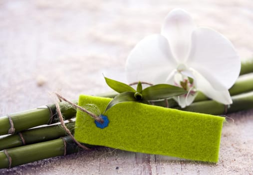 Fresh green bamboo stems with a pure white phalaenopsis orchid and blank green textured felt tag with copyspace for your text in a spa and wellness concept