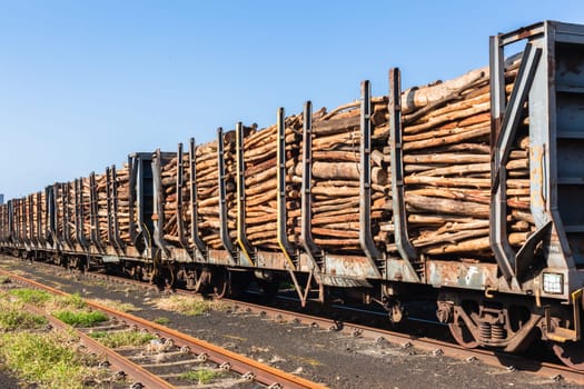 Train trailers full stacked with logging cut tree wood pole lengths for mill factory destination