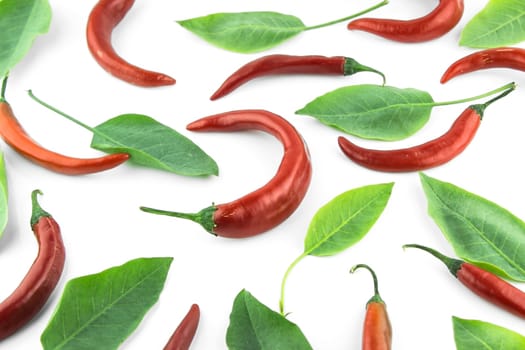 red hot chili pepper with leaves on a white background